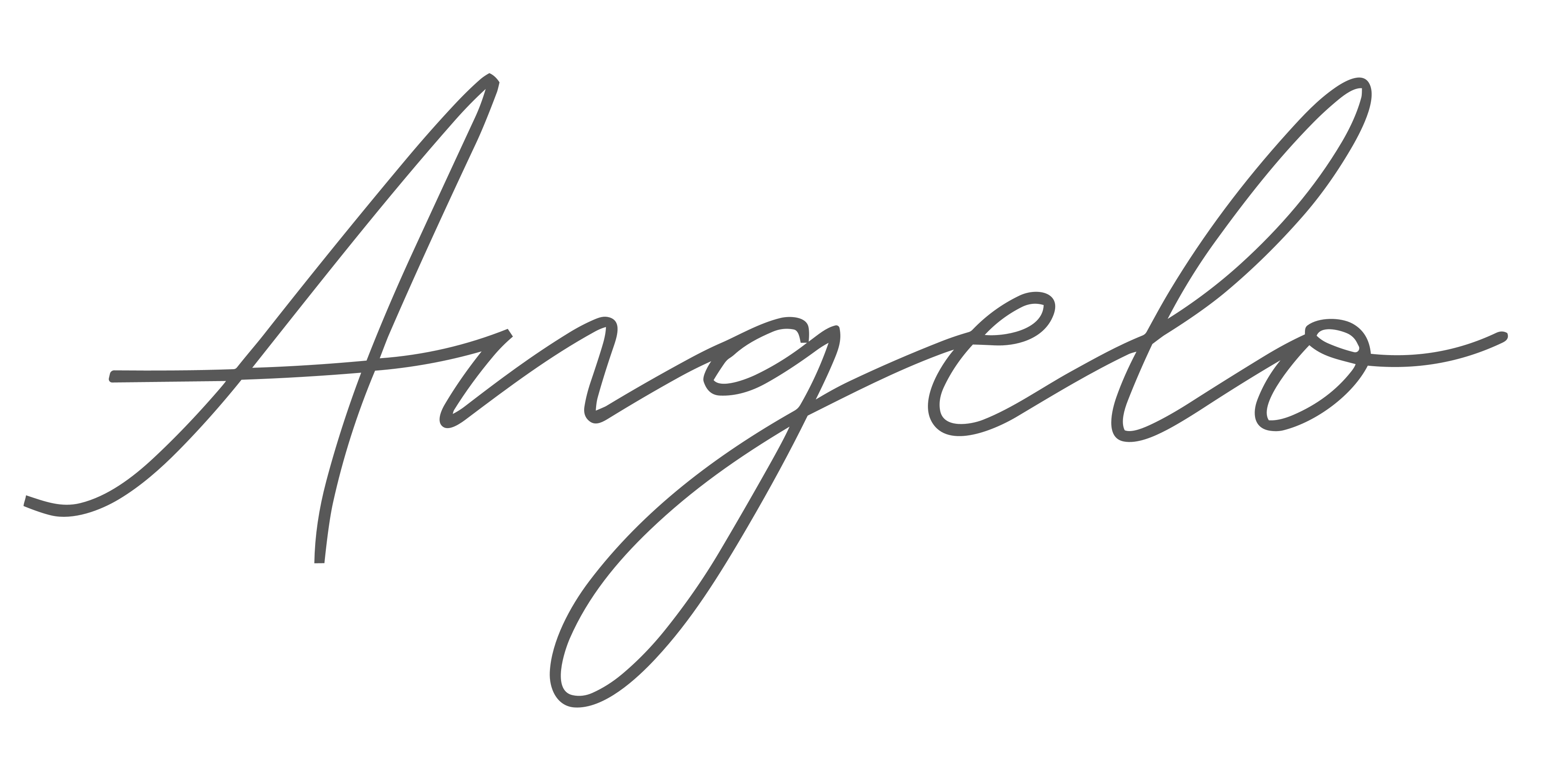 Angelo Studio